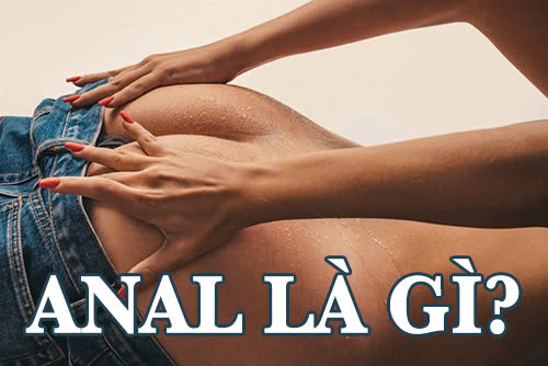Anal là gì?
