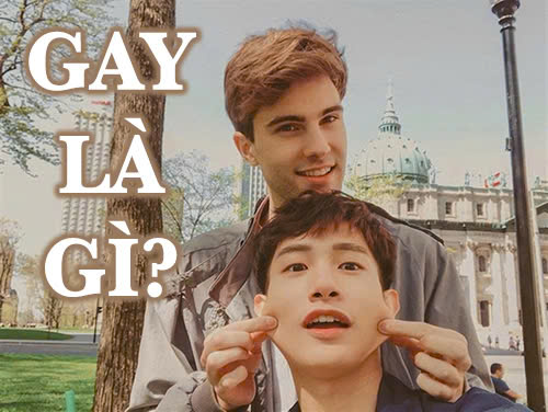 Gay là gì?